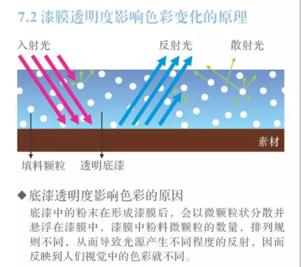 49码出特规律100