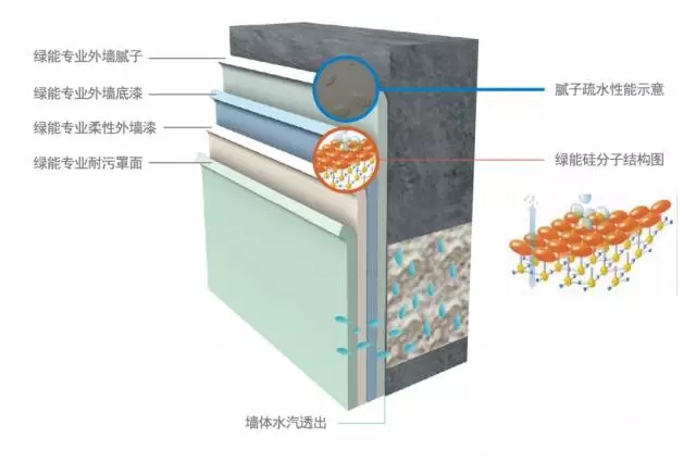 49码出特规律100